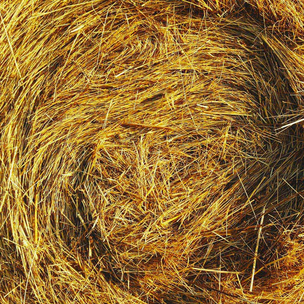 Coop Covri image de foin
