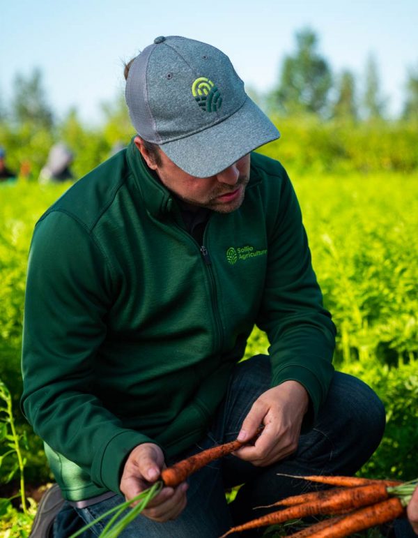 Secteurs d’activité