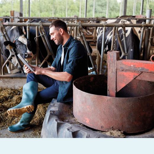 Ferme Grolier et Ferme Aviparc – leaders en innovation et en pratiques agricoles durables