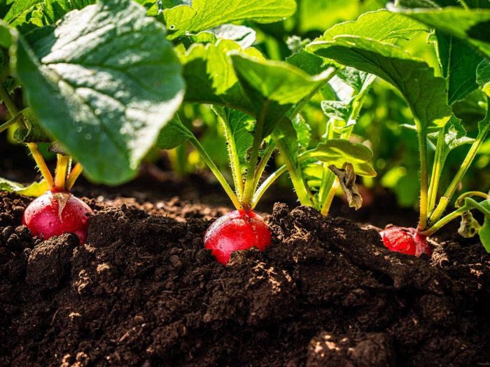 Agroenvironnement
