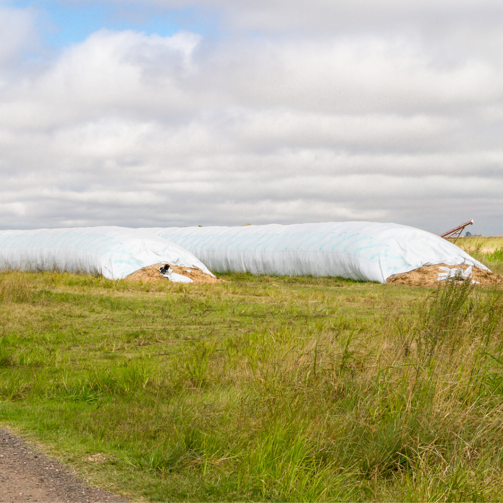 Sites de collecte des plastiques agricoles