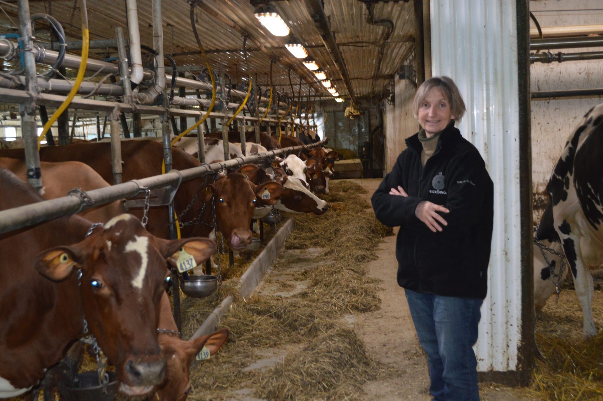 La Ferme de la Plaine nommée maître-éleveur Ayrshire 2022