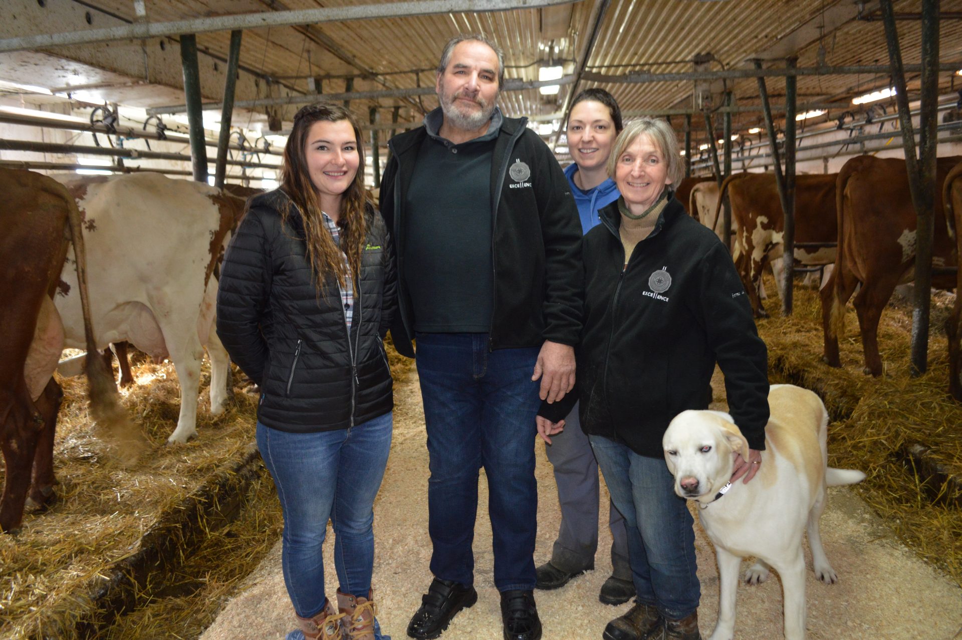 La Ferme de la Plaine nommée maître-éleveur Ayrshire 2022