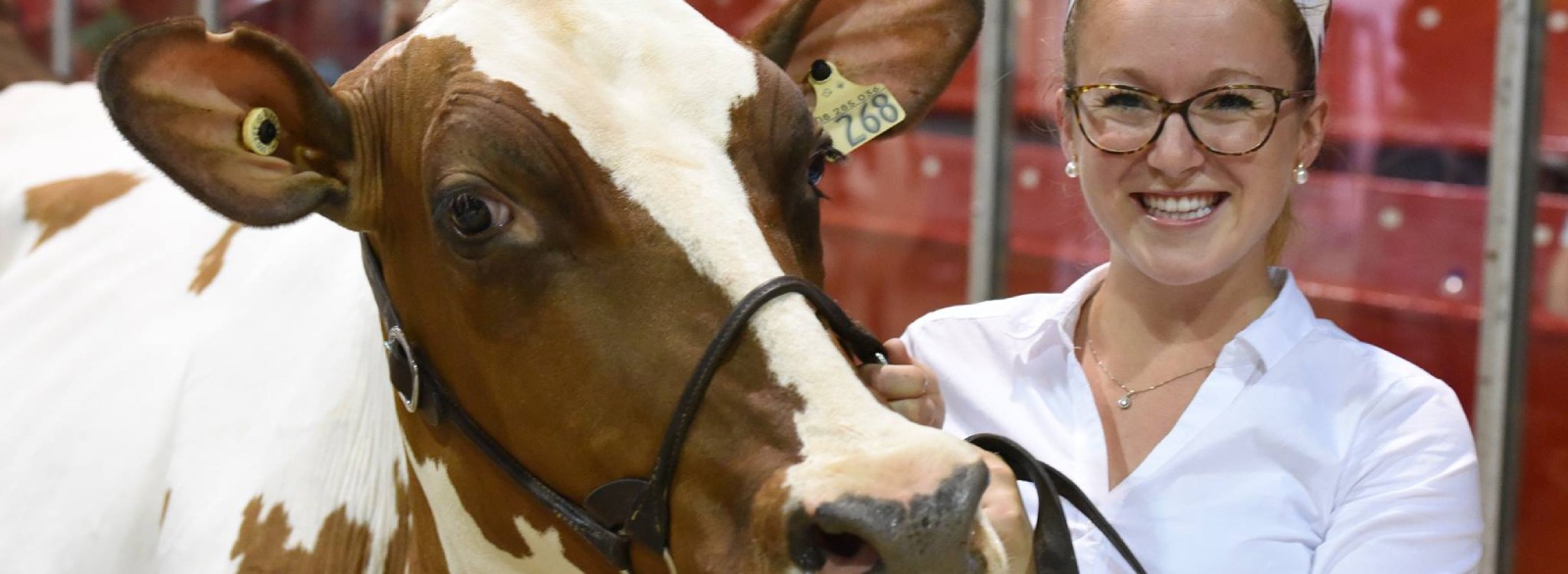 Inscription méchoui VIP de l’Expo de Bécancour