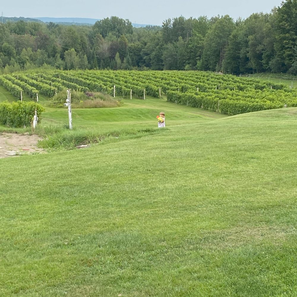 Agroenvironnement